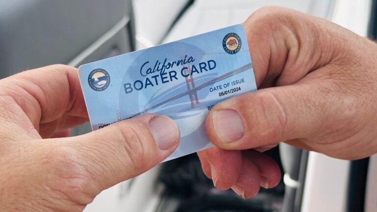 Buy Boat License Online – Real Registered & Novelty