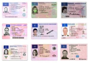 Buy EU Drivers License Fast & Reliable – Real or Fake Options